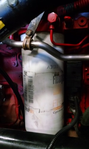 IMG_20150820_102951357 IMG_20150820_102951357